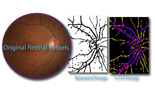 Local Connected Fractal Dimension Analysis