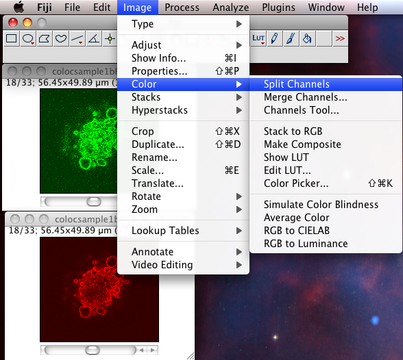 imagej colocalization plugin