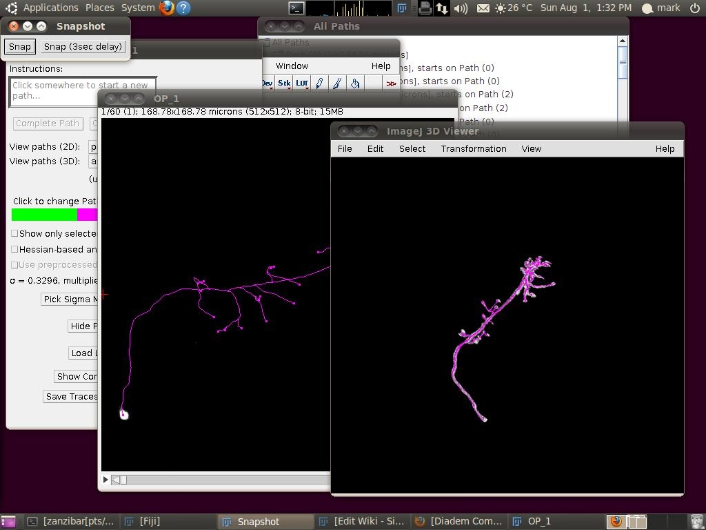 Simple Neurite Tracer- Sholl analysis-1.jpg