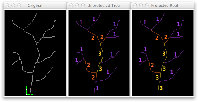 Strahler RootProtection.png