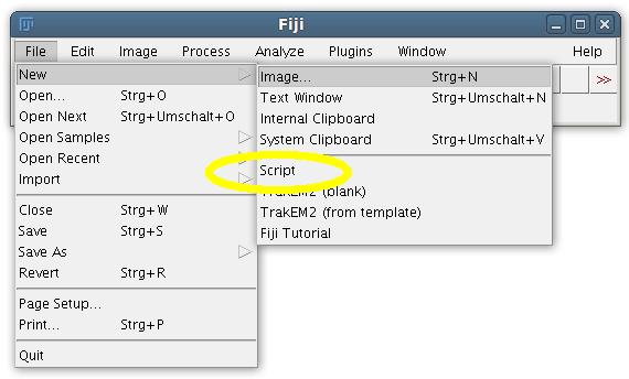 Script-Editor-new.jpg