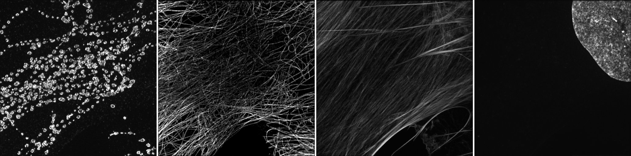 4 channels image, each in Grays levels.