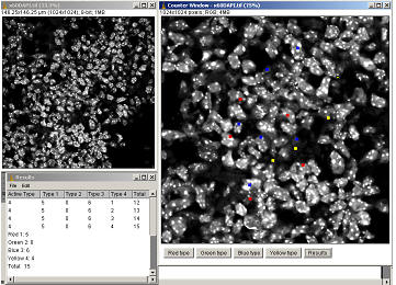 counting cells in imagej