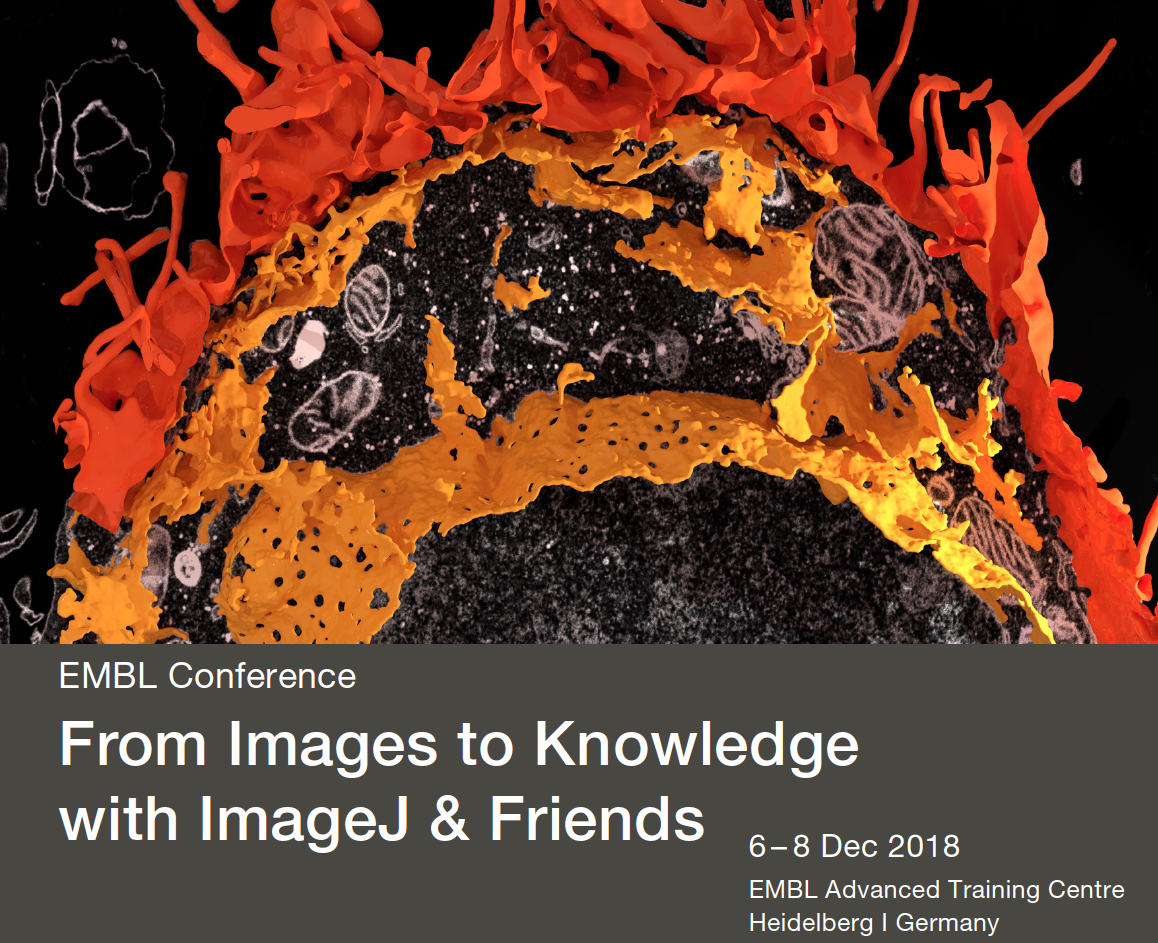 From Images to Knowledge with ImageJ & Friends