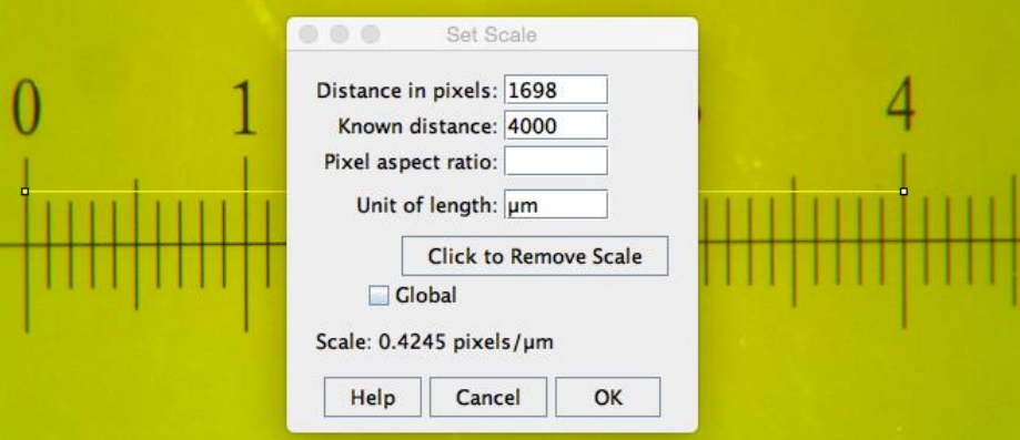 How to measure the pixel size. Taken from the [documentation](https://github.com/jschier/IsletJ/blob/master/pdf/IsletJ_Guide_2.pdf) of the original plugin version.