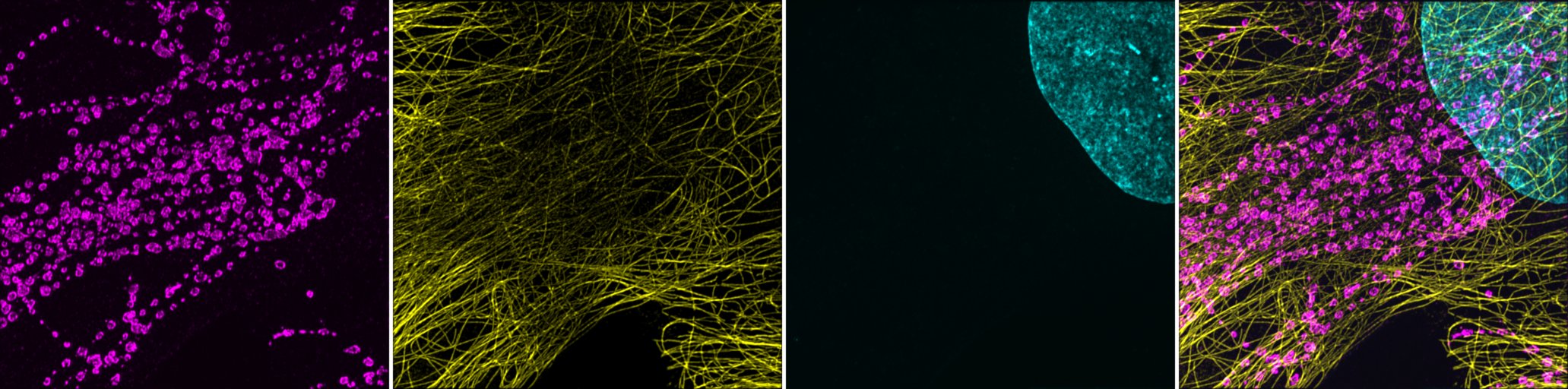 3 channels image, in Cyan Magenta and Yellow