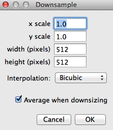 Shows the secondary dialog for downsampling during stitching.
