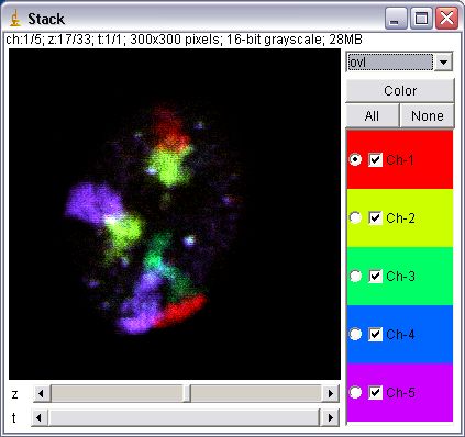 ImageJ Tutorial: How To Overlay Images, 45% OFF