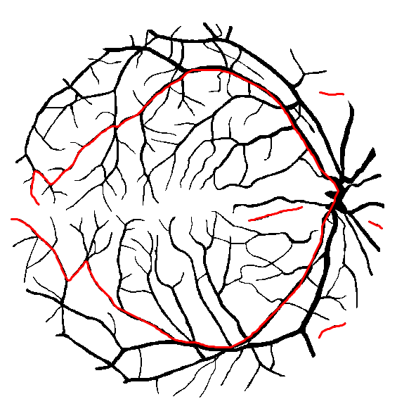 longest-geodesic-path-drive