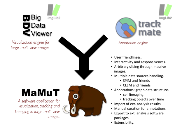 MaMuT_presentation.png