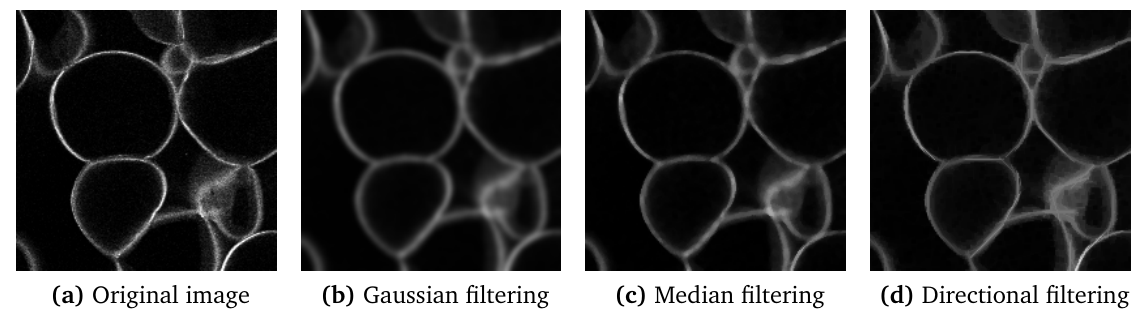 morpholibj-directional-filtering-example