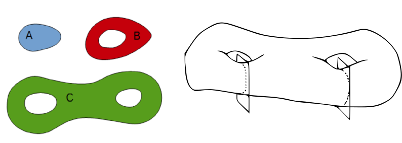 morpholibj-euler-number