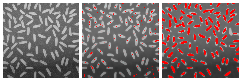 morpholibj-grains-regional-and-extended-maxima