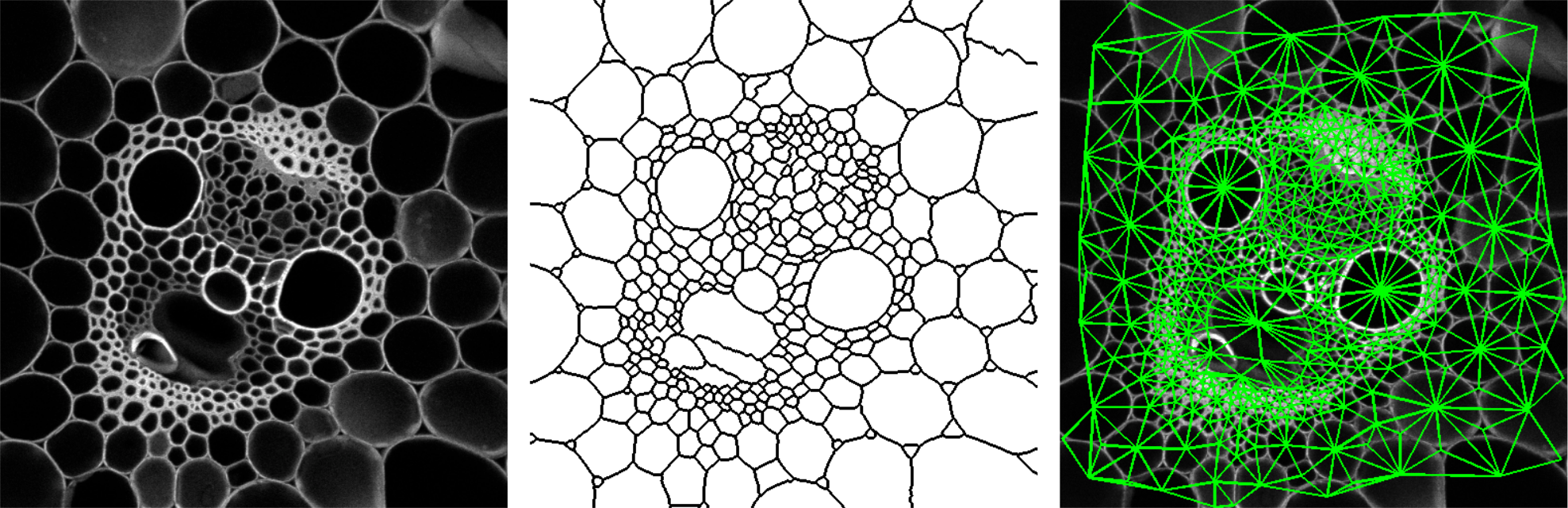 morpholibj-region-adjacency-graph