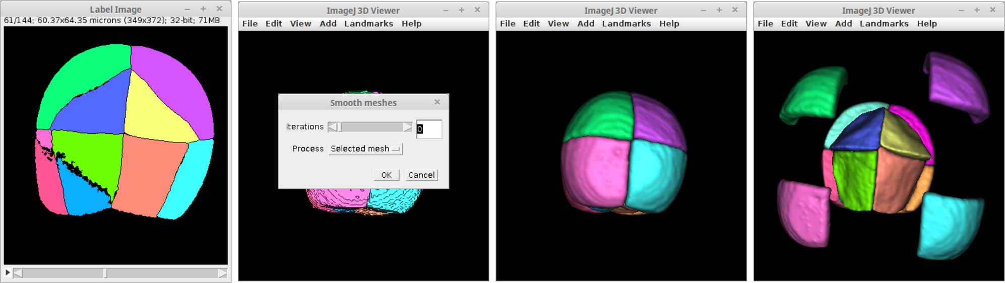 morpholibj-visualize-labels-in-3d-viewer