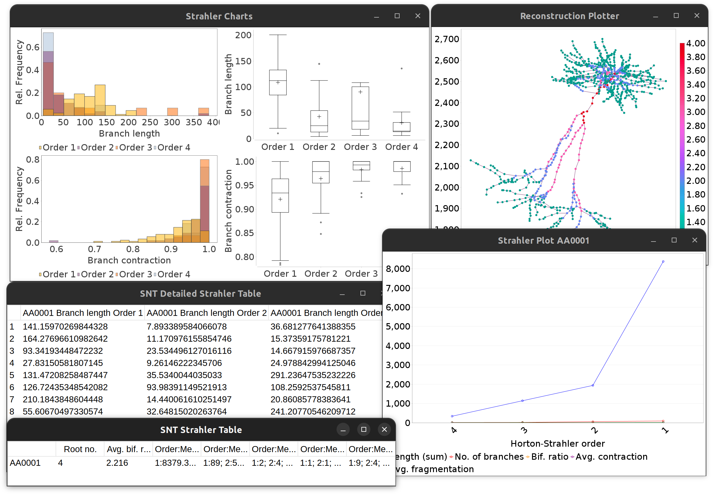 /media/plugins/snt/strahler-analysis-from-reconstructions.png