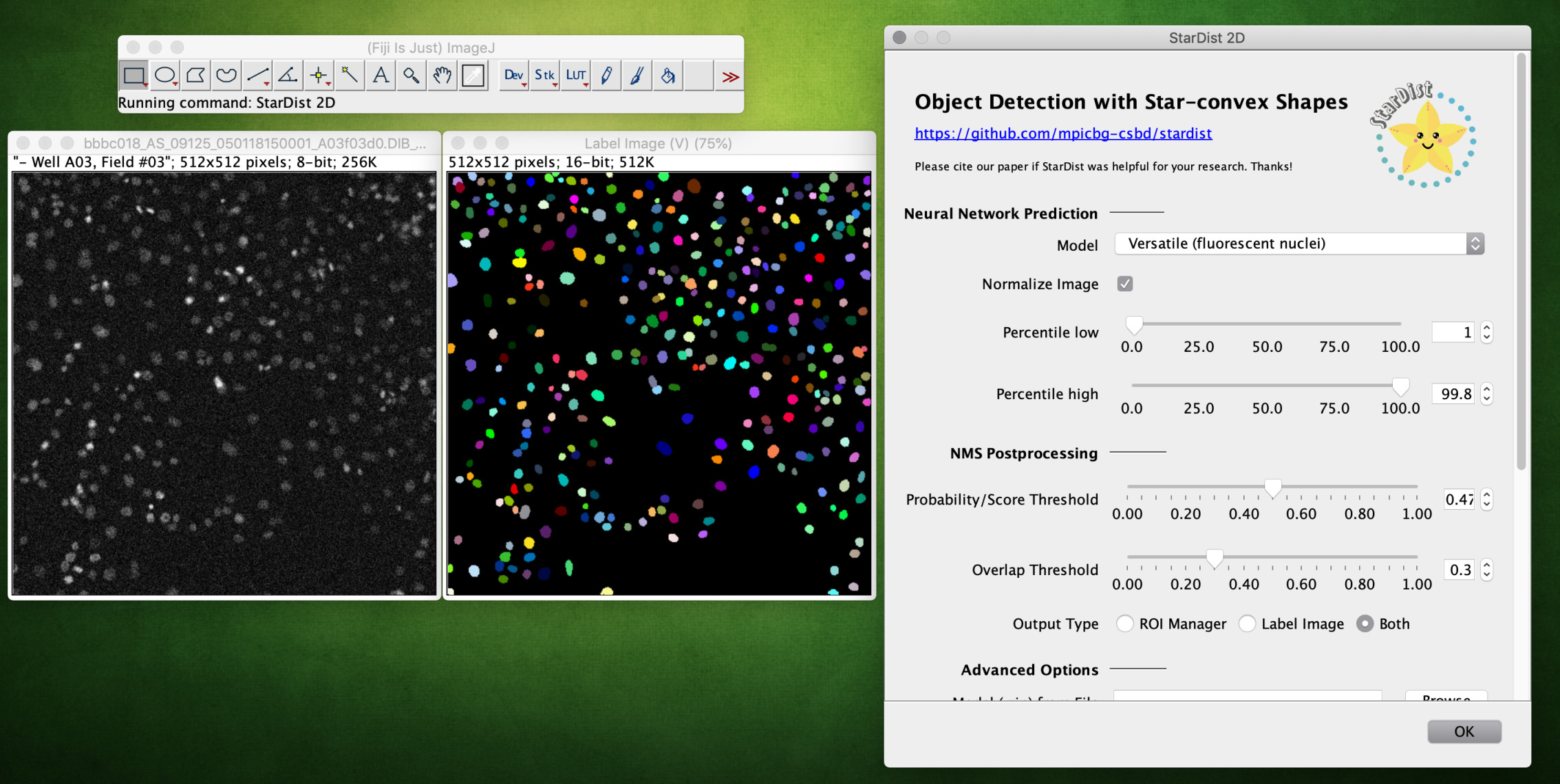 mitotic imagej fiji plugin