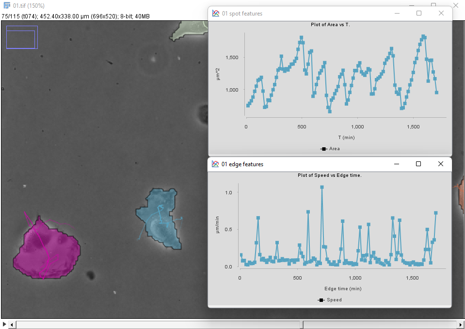 /media/plugins/trackmate/detectors/cellpose/trackmate-cellpose-tutorial-b-08