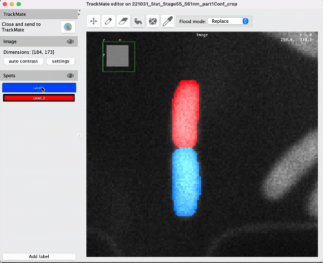 /media/plugins/trackmate/spot-editor/TrackMate-Editor-FloodFill-Replace.gif