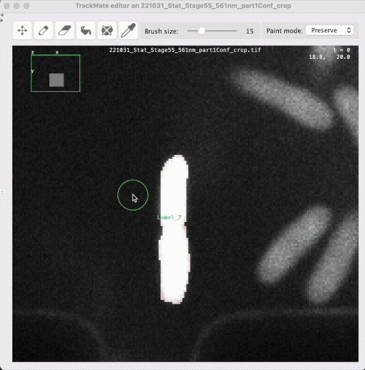 /media/plugins/trackmate/spot-editor/TrackMate-Editor-Paint-PreserveMode.gif