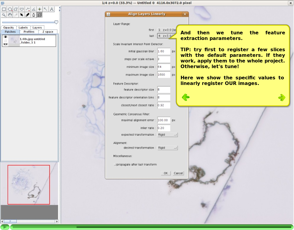 TrakEM2 align sections tutorial