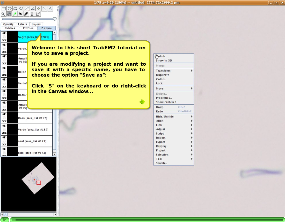 TrakEM2 saving a project