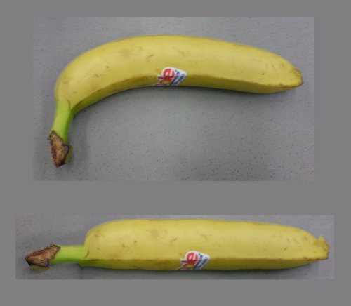 The original banana and the straightened version