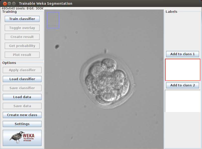 weka jar file from command line weka.jar