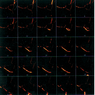 fig-21